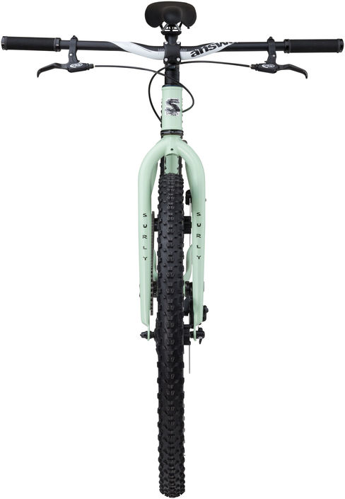 surly karate monkey single speed