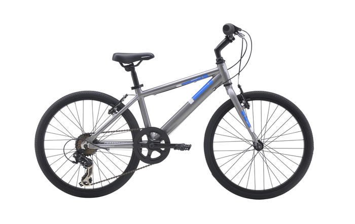 diamondback insight review