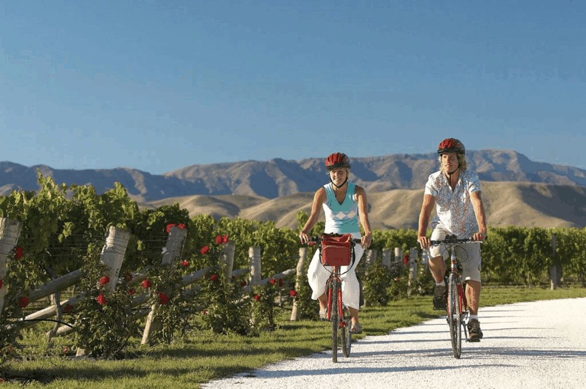 Couple your wine tasting fun with good company Couple on bikes riding past vineyards