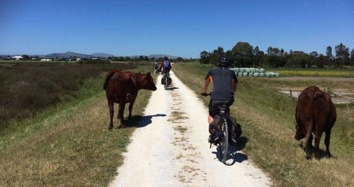 Leisurely bike the scenic trails of Hawke's Bay Hawke's Bay easy cycling tour New Zealand