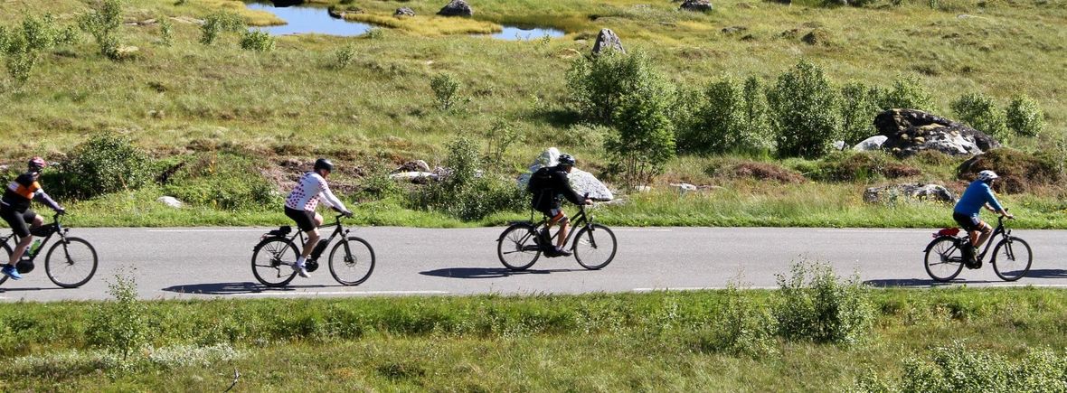 Cruise through NZ on an E-bike and see the country on two wheels E-bike tour of New Zealand