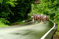 Bicycle road race