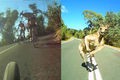 Funny kangaroo jumps cyclist by fly6