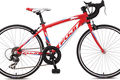 2012 fuji ace 24 red so