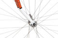 9tspace horse eyelets
