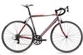 Marin 2012 profit san marino apex