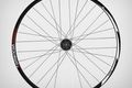 American classic terrain 29 tubeless
