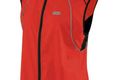 Vest 2