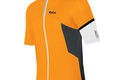 1203005 a orange