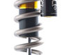 Double barrel shock