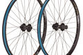 Bontrager big earl 6 bolt disc