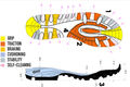 Free ride sole technology