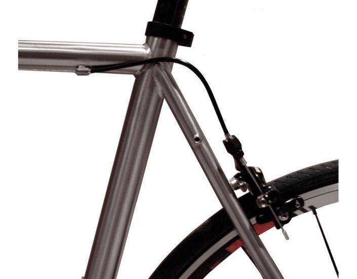 Dolan titanium 2025