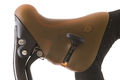 Campy in brown%28b%29