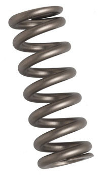 Cane Spring Medium Cane Creek Titanium Spring 2.75