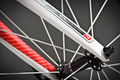 Wls axial d 4