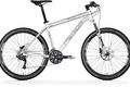 Matts tfs 1000 d white 2012 cat.tif