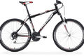 Matts 40 v  black white 2012 cat.tif