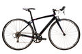 2013 zw95 lrg