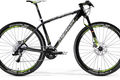 Bignine lite team issue 43 my2013.tif