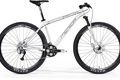 Bignine tfs 300 56 white my2013 cmyk.tif