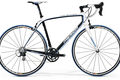 Scultura comp 904 220 white black my2013 cmyk.tif