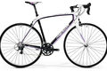 Scultura comp juliet 904 222 my2013 cmyk.tif