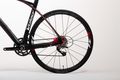 Liscio apex   2