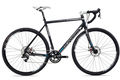 Marin cortina   1