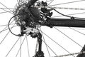 Diamondback trace comp 4