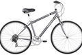 Diamondback kalamar