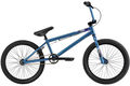 Diamondback session am