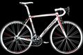 Bottecchia duello white