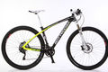 Bottecchia zoncolan 29