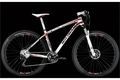 Bottecchia stelvio 29