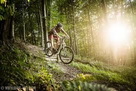 Kreidler vitality discount dice 29er