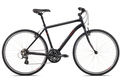 Larkspur cs2