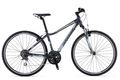 Giant rove 3 2014