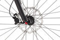 Felt compulsion lt3 2014 4
