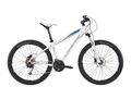 Lapierre raid 300 lady 2014