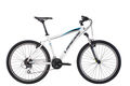 Lapierre raid 100 2014