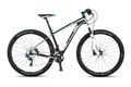 Ktm myroon 29 master 2014