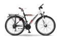 Winora power pro y 2014
