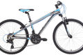 Silverback spyke 24 2014
