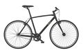 Bianchi semplice gent single 2014