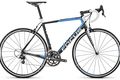 Focus cayo evo team replica 2014 1