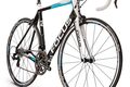 Focus cayo evo team replica 2014 2