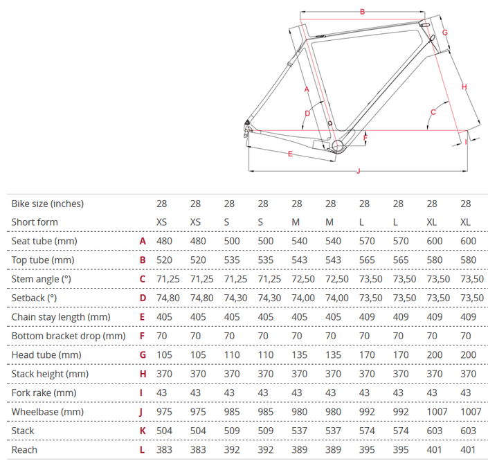 Focus cayo sales size chart