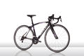 Ridley lizc20 2015 01