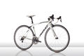Ridley lizc30 2015 01